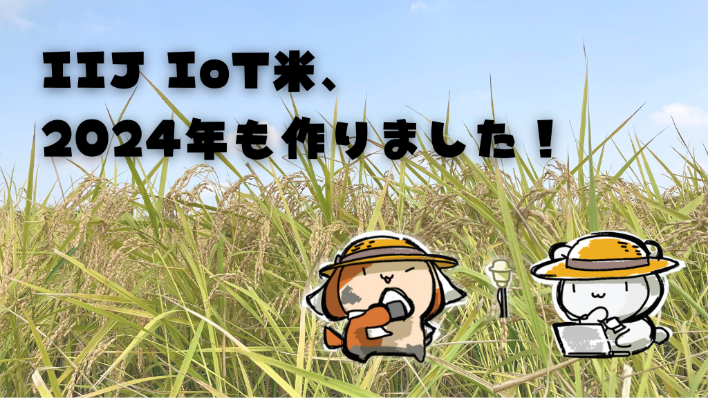 「IIJ IoT米、2024年も作りました！」のイメージ