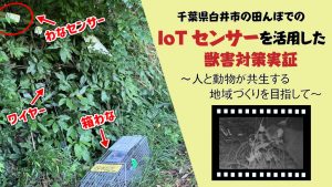「千葉県白井市の田んぼでのIoTセンサーを活用した獣害対策実証 ~人と動物が共生する地域づくりを目指して~」のイメージ