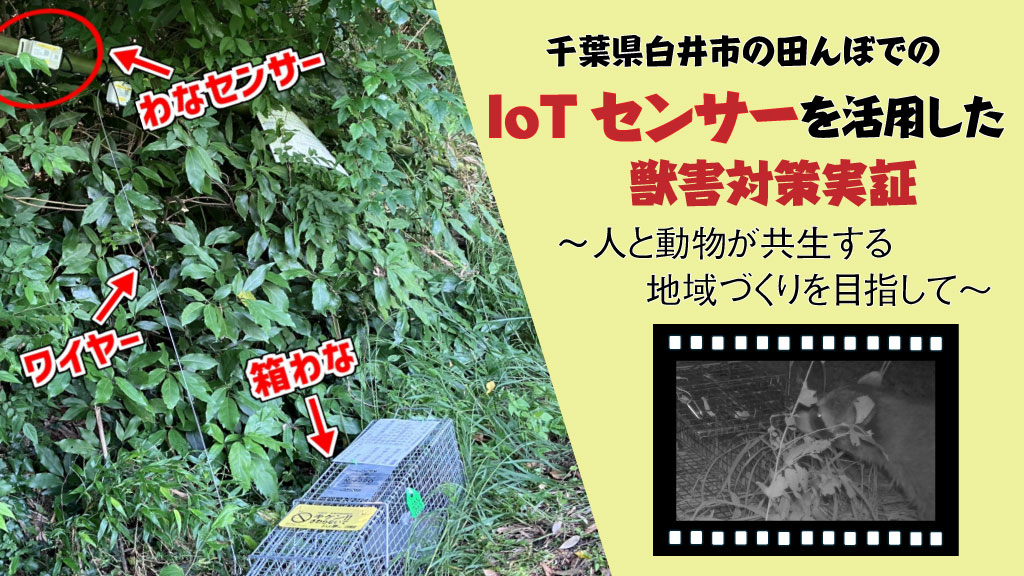 「千葉県白井市の田んぼでのIoTセンサーを活用した獣害対策実証 ～人と動物が共生する地域づくりを目指して～」のイメージ