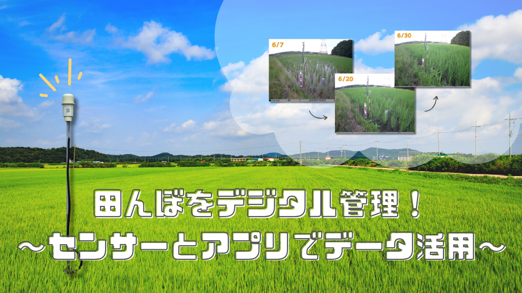 「田んぼをデジタル管理！～センサーとアプリでデータ活用～」のイメージ