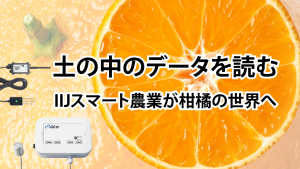「土の中のデータを読む ～ IIJのIoTが支える柑橘農業の新しい形」のイメージ