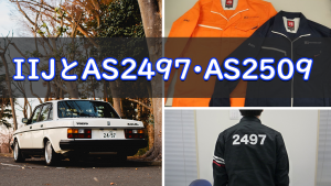 「IIJとAS2497・AS2509」のイメージ